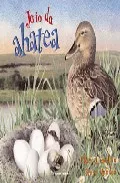 Portada del Libro Jaio Da Ahatea de Simon Mendez - 9788480912884