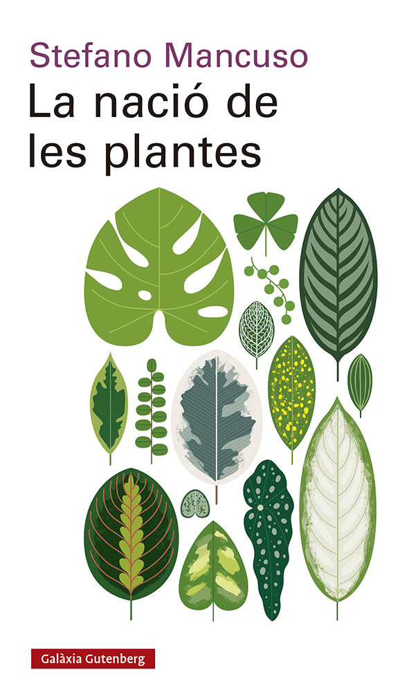 Portada del Libro La Nacio De Les Plantes de Stefano Mancuso - 9788417971564