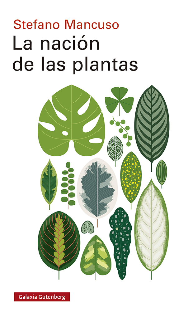 Portada del Libro La Nacion De Las Plantas de Stefano Mancuso - 9788417971557