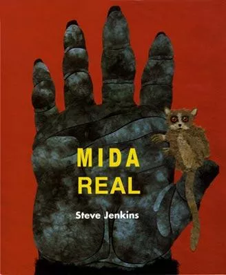 Portada del Libro Mida Real de Steve Jenkins - 9788426135001