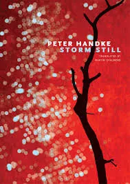 Portada del Libro Storm Still de - 9780857425584