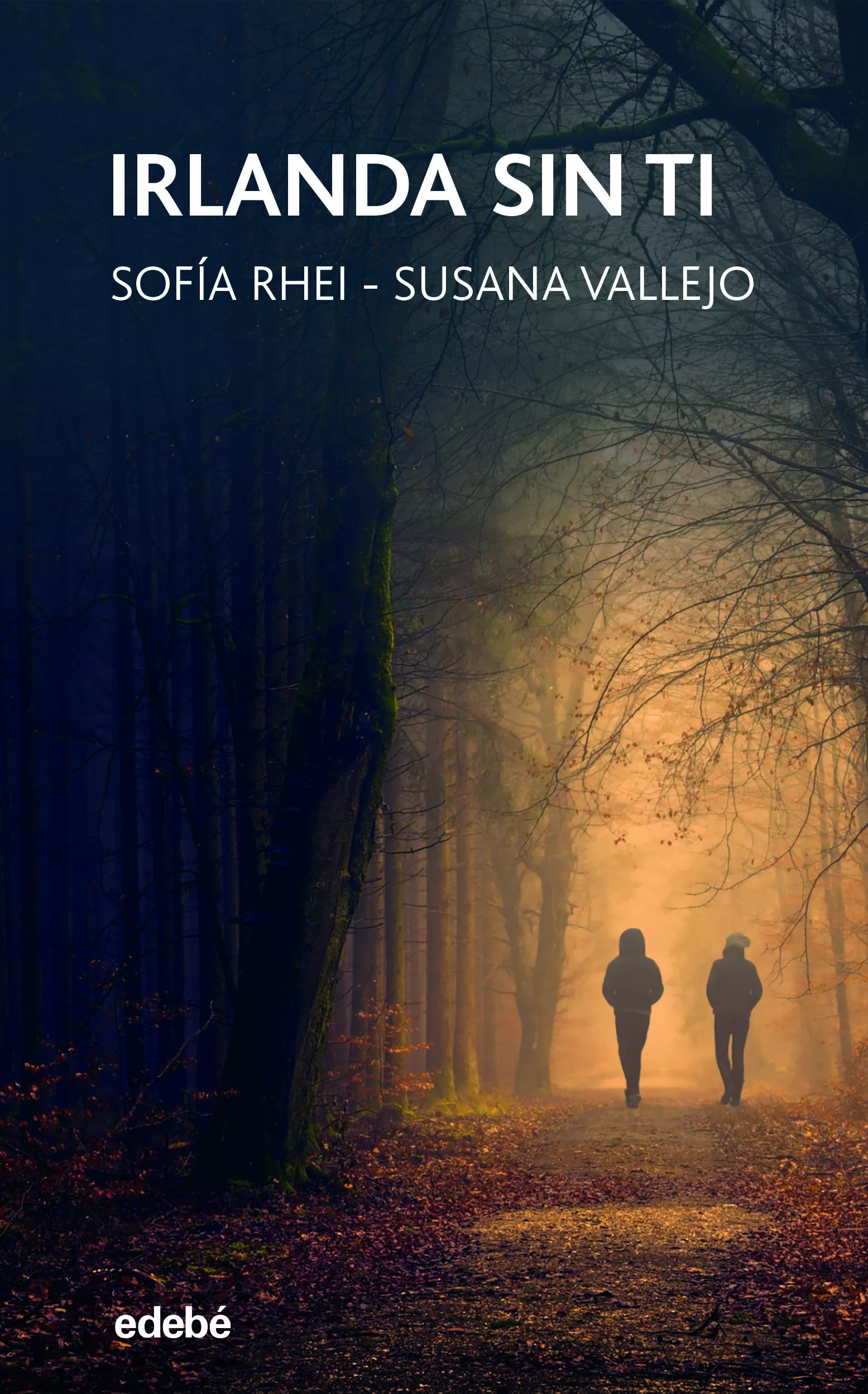 Portada del Libro Irlanda Sin Ti de Susana Vallejo Chavarino - 9788468347042