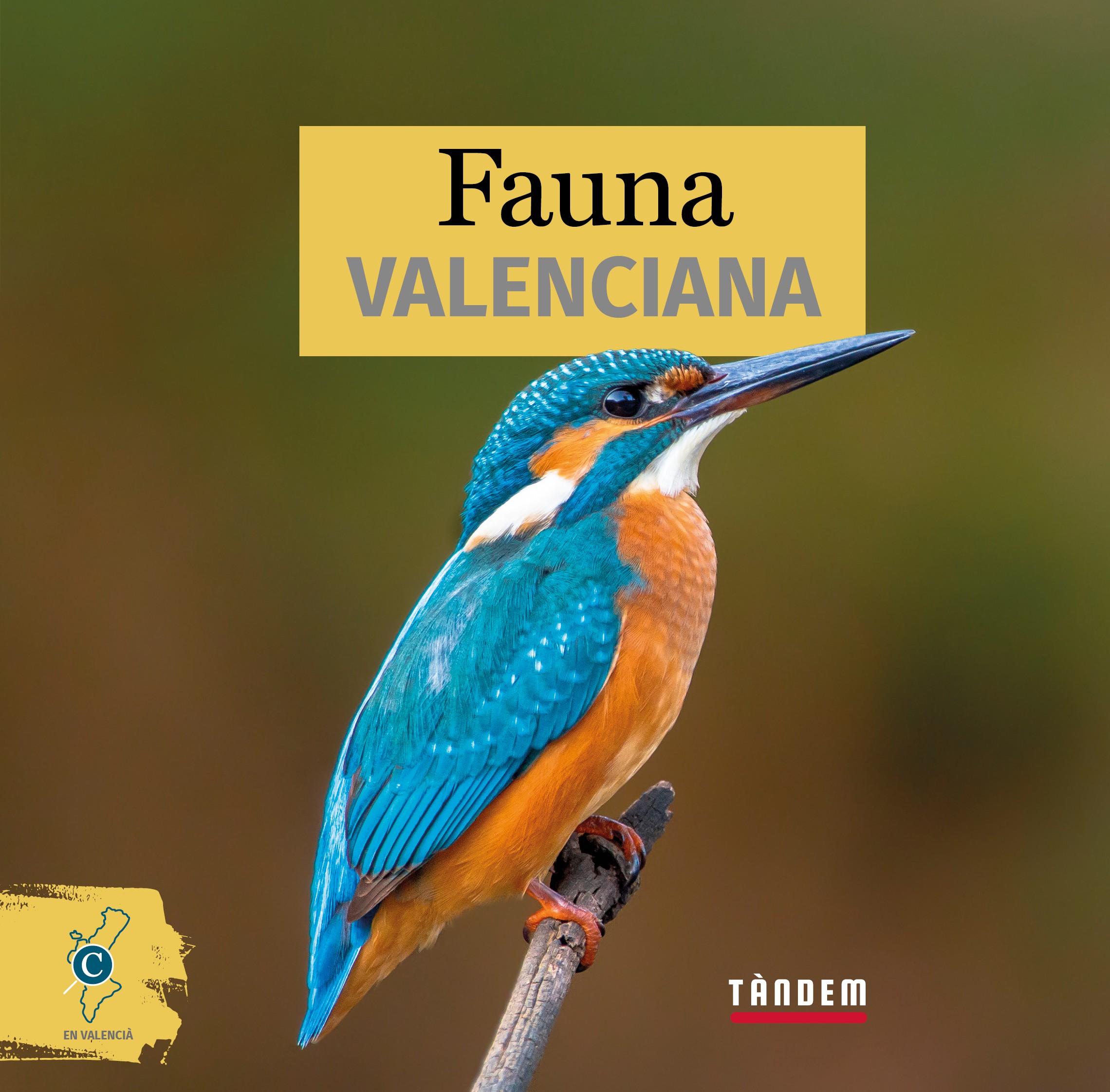 Portada del Libro Fauna Valenciana de Teresa Gregori Soler - 9788417588366