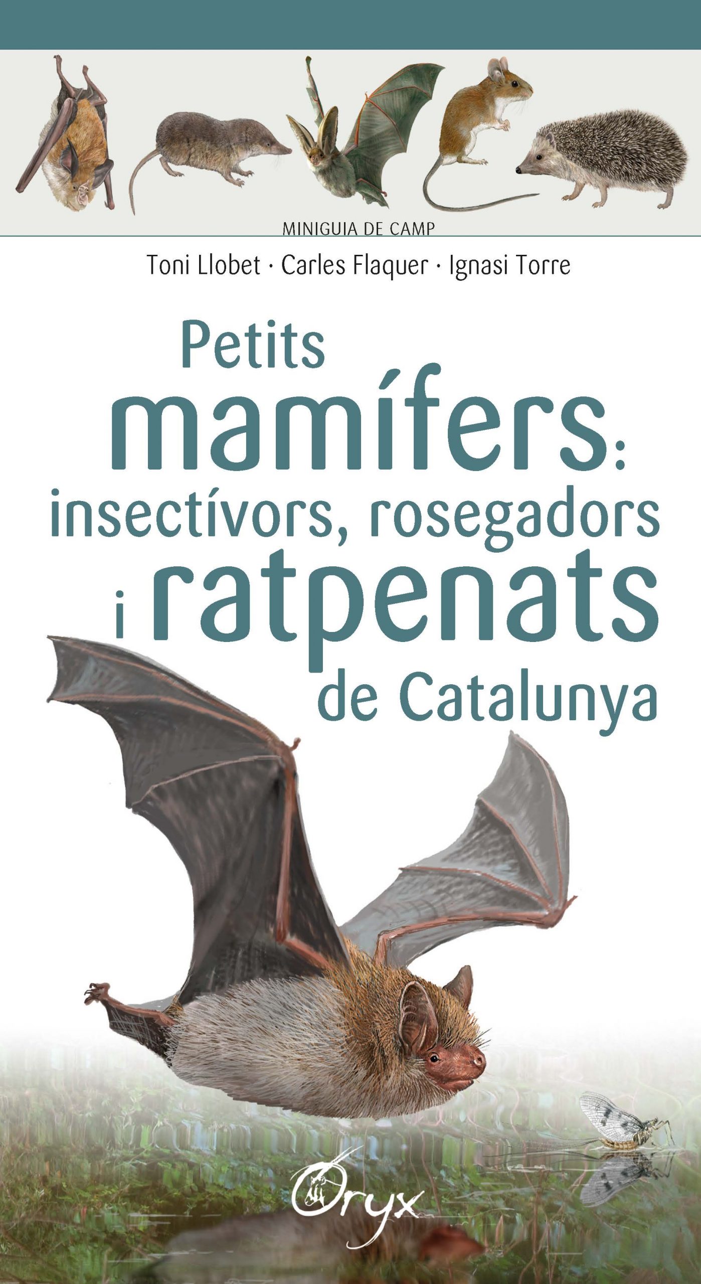 Portada del Libro Petits Mamifers: Insectívors Rosegadors I Ratpenats De Catalunya de Toni Llobet - 9788490348956