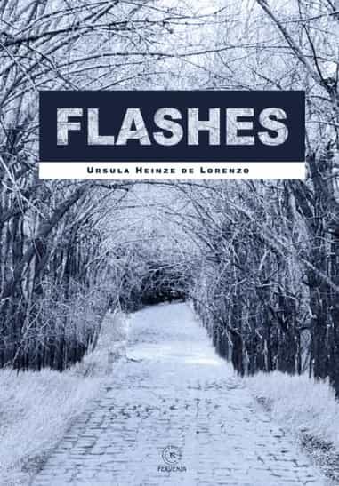 Portada del Libro Flashes de Ursula Heinze De Lorenzo - 9788417094942