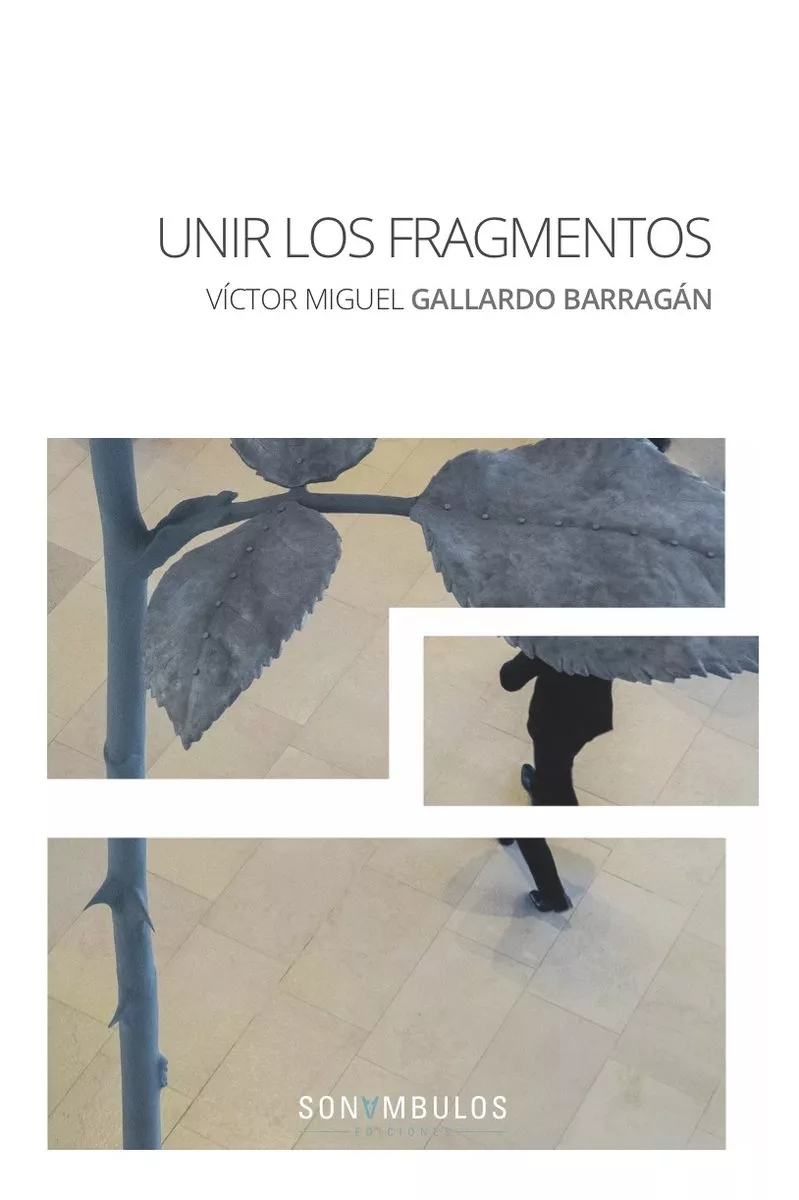 Portada del Libro Unir Los Fragmentos de Victor Miguel Gallardo Barragan - 9788412037401