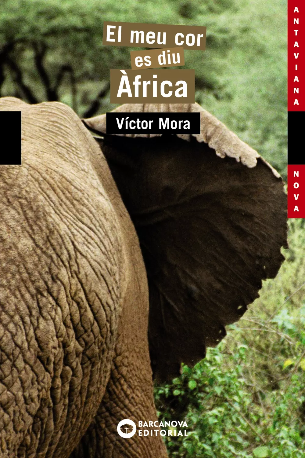 Portada del Libro El Meu Cor Es Diu Africa de Victor Mora - 9788448919160