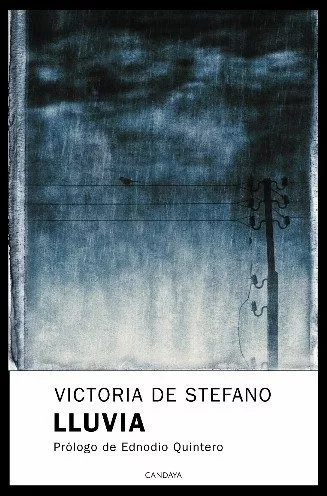 Portada del Libro Lluvia de Victoria Stefano - 9788493354695