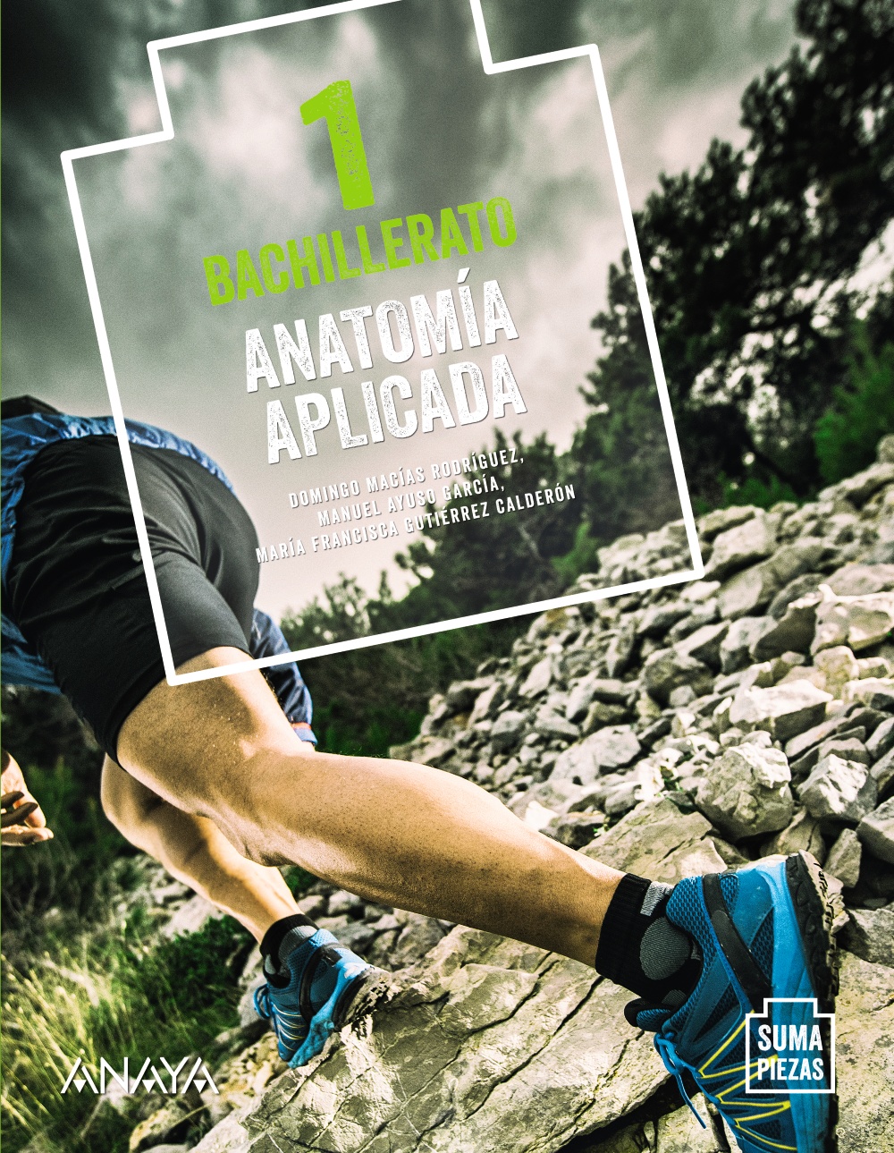 Portada del Libro Anatomía Aplicada 1º Bachillerato (Suma Piezas) Andalucía / Aragón / A de Vv.Aa. - 9788469873045