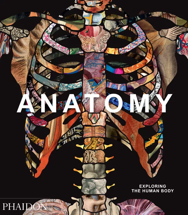 Portada del Libro Anatomy: Exploring The Human Body de Vv.Aa. - 9780714879888