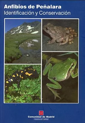 Portada del Libro Anfibios De Peñalara Identificacion Y Conservacion de Vv.Aa. - 9788445128008