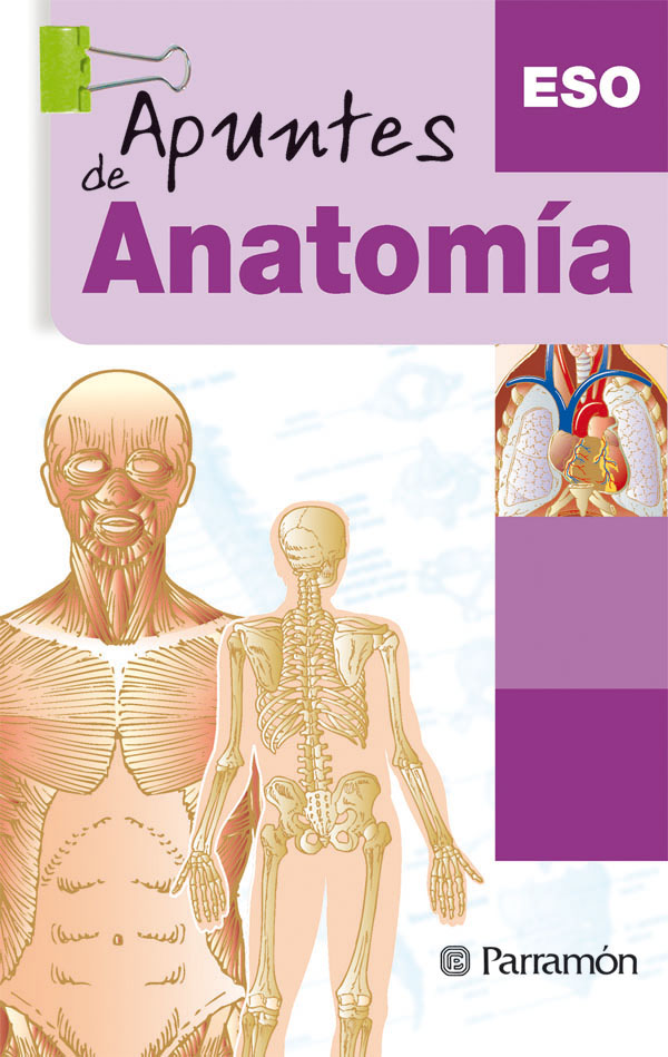 Portada del Libro Apuntes De Anatomia (Eso) de Vv.Aa. - 9788434229518