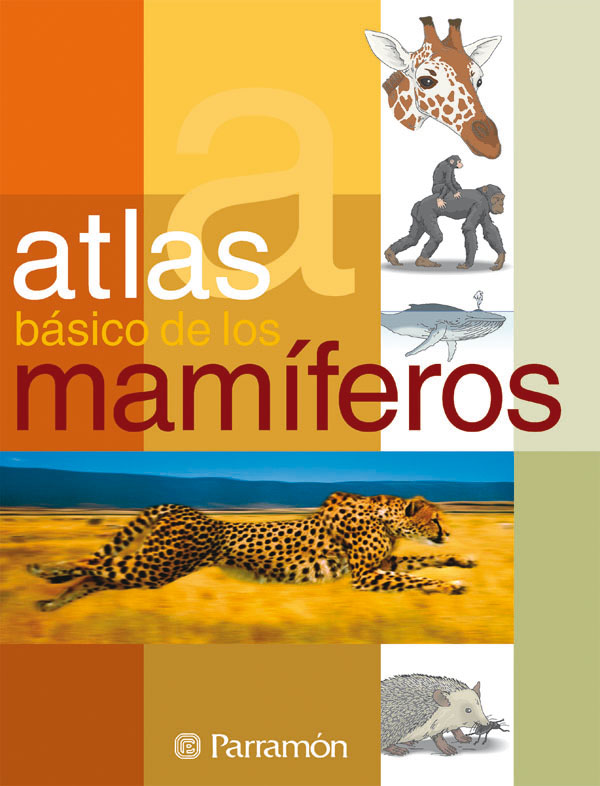 Portada del Libro Atlas Basico Mamiferos de Vv.Aa. - 9788434229532