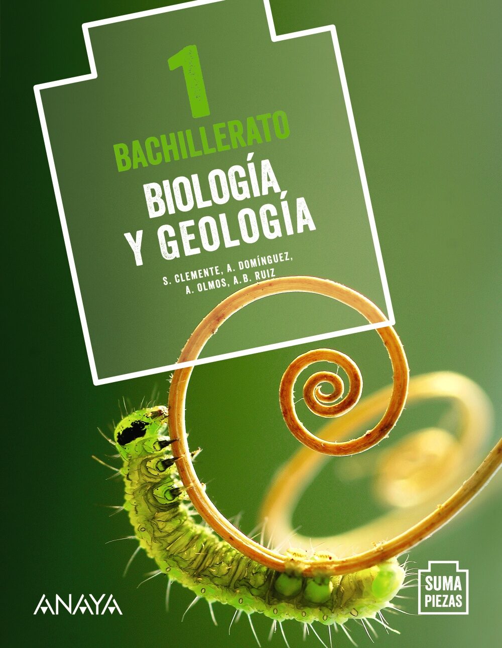 Portada del Libro Biología Y Geología 1º Bachillerato (Suma Piezas) Andalucía / Aragón / de Vv.Aa. - 9788469860984