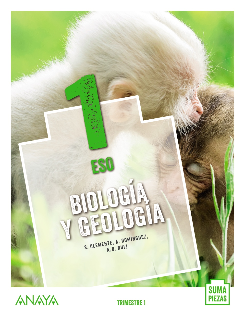 Portada del Libro Biología Y Geología 1º Eso. Suma Piezas Aragón / Asturias / Castilla Y de Vv.Aa. - 9788469875056