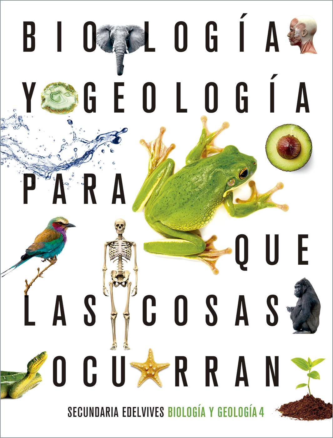 Portada del Libro Biología Y Geología 4º Eso 2020 de Vv.Aa. - 9788414027134