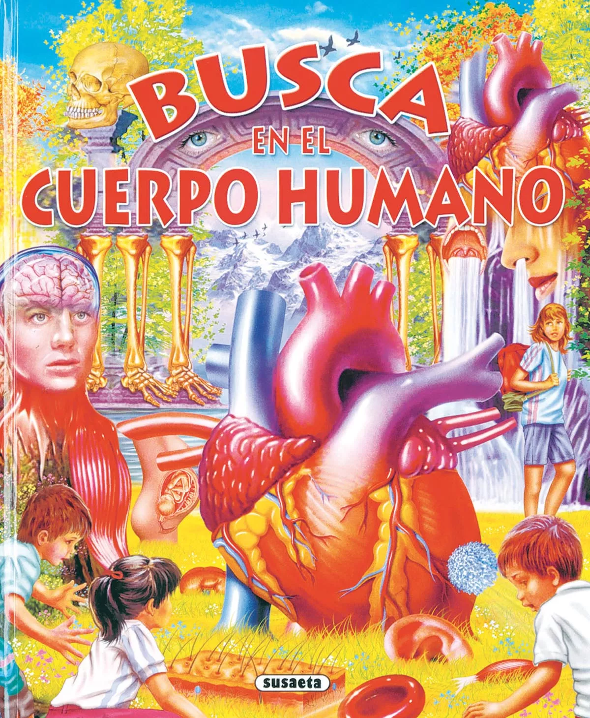 Portada del Libro Busca En El Cuerpo Humano de Vv.Aa. - 9788430558520