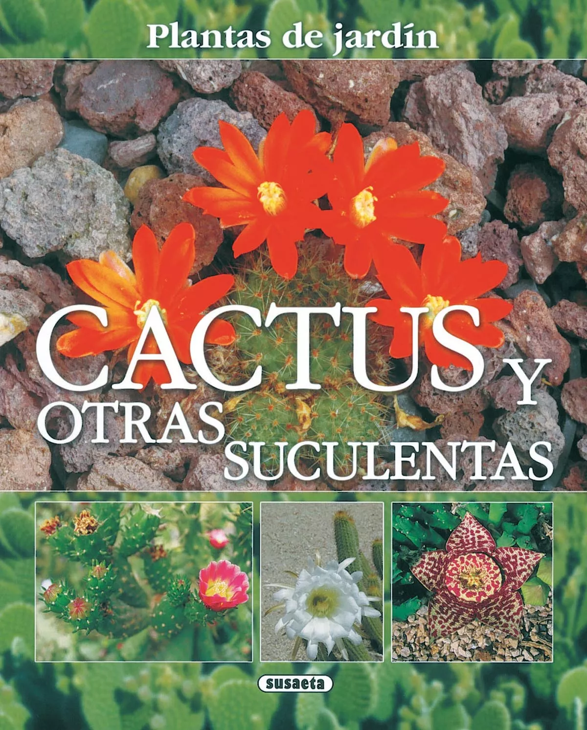 Portada del Libro Cactus Y Otras Suculentas de Vv.Aa. - 9788430556878