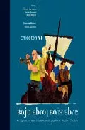Portada del Libro Chicoten Vi. Bajo Ebro/Baix Ebre de Vv.Aa. - 9788495116697