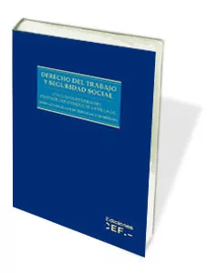 Portada del Libro Derecho Del Trabajo Y Seguridad Social de Vv.Aa. - 9788445413166