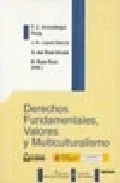 Portada del Libro Derechos Fundamentales Valores Y Multiculturalismo de Vv.Aa. - 9788497727037