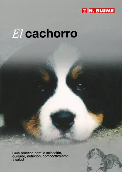 Portada del Libro El Cachorro de Vv.Aa. - 9788489840898