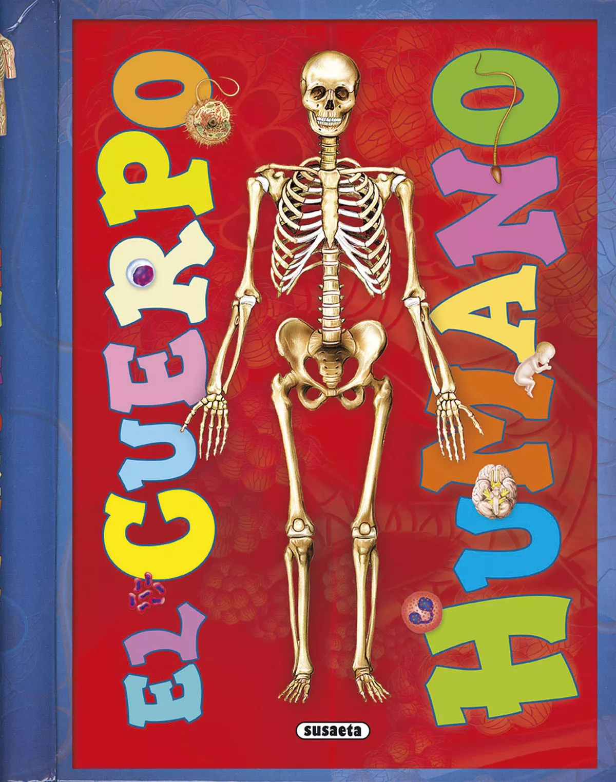 Portada del Libro El Cuerpo Humano de Vv.Aa. - 9788467762747