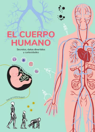 Portada del Libro El Cuerpo Humano (Vvkids) de Vv.Aa. - 9788468268354