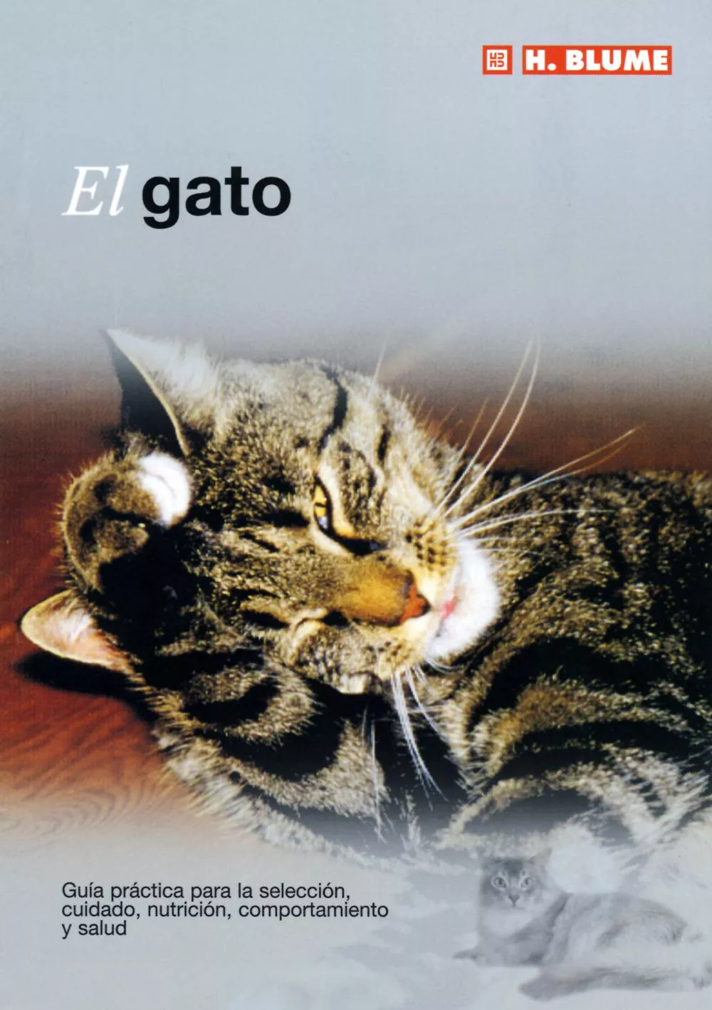 Portada del Libro El Gato de Vv.Aa. - 9788489840775
