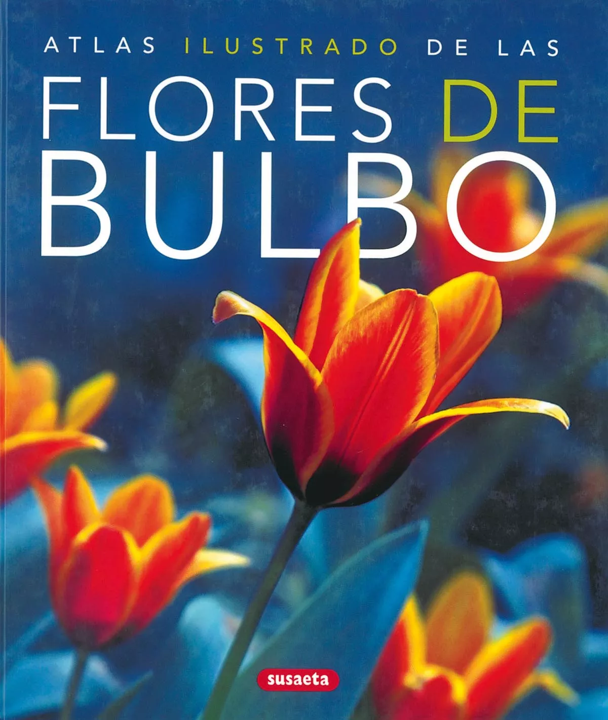 Portada del Libro Flores De Bulbo de Vv.Aa. - 9788430570324