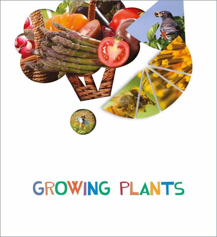 Portada del Libro Growing Plants 5 Years Proyectos ¿Lo Ves? 2020 de Vv.Aa. - 9788414029725