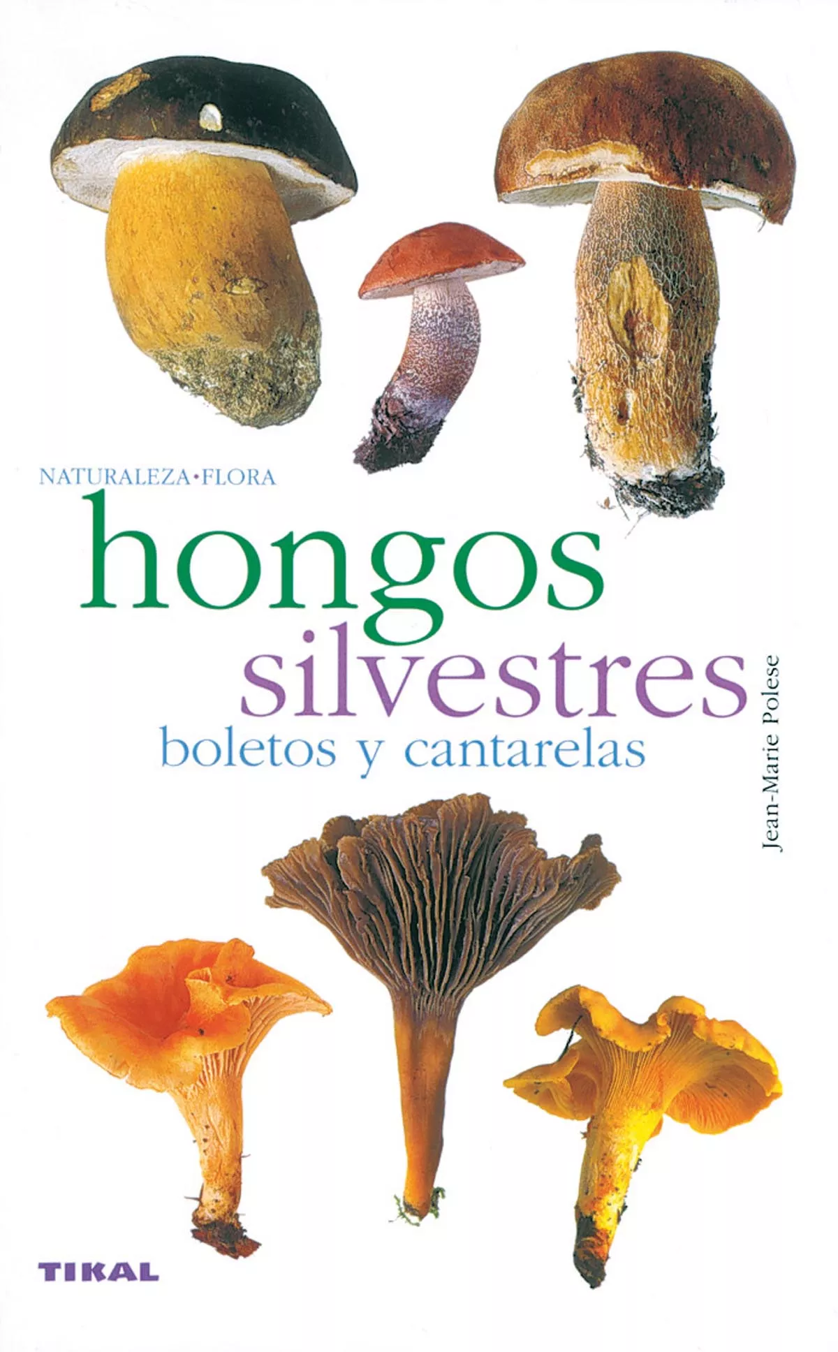 Portada del Libro Hongos Silvestres Boletos de Vv.Aa. - 9788430553365