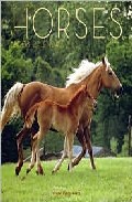 Portada del Libro Horses 2008 (Calendario 30X30) de Vv.Aa. - 9780767144629