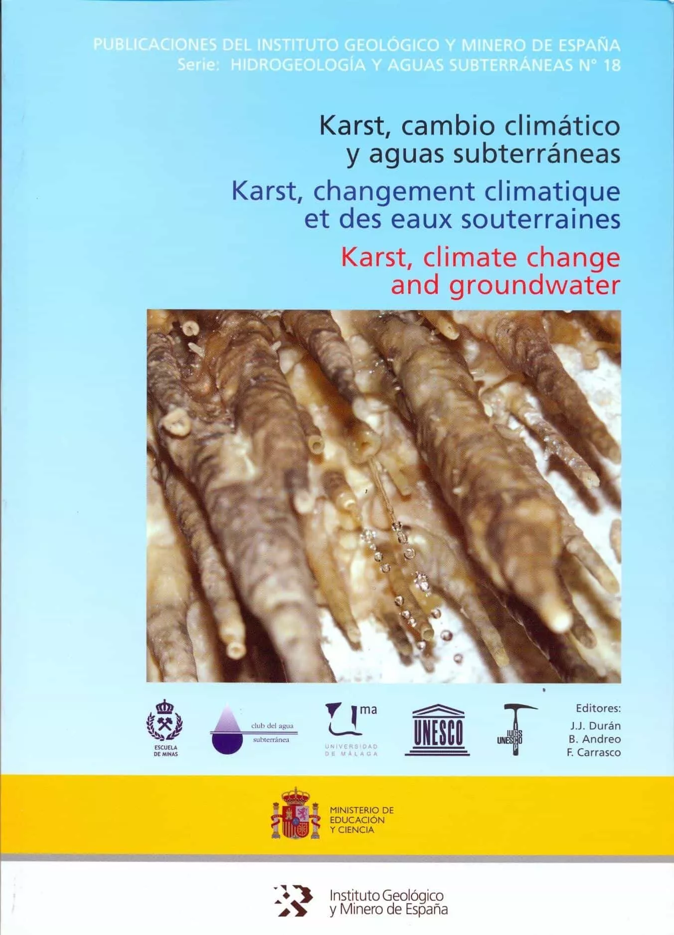 Portada del Libro Karst Cambio Climatico Y Aguas Subterraneas de Vv.Aa. - 9788478406289