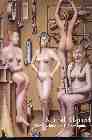 Portada del Libro Konrad Klapheck: The Machine And I de Vv.Aa. - 9788445127605