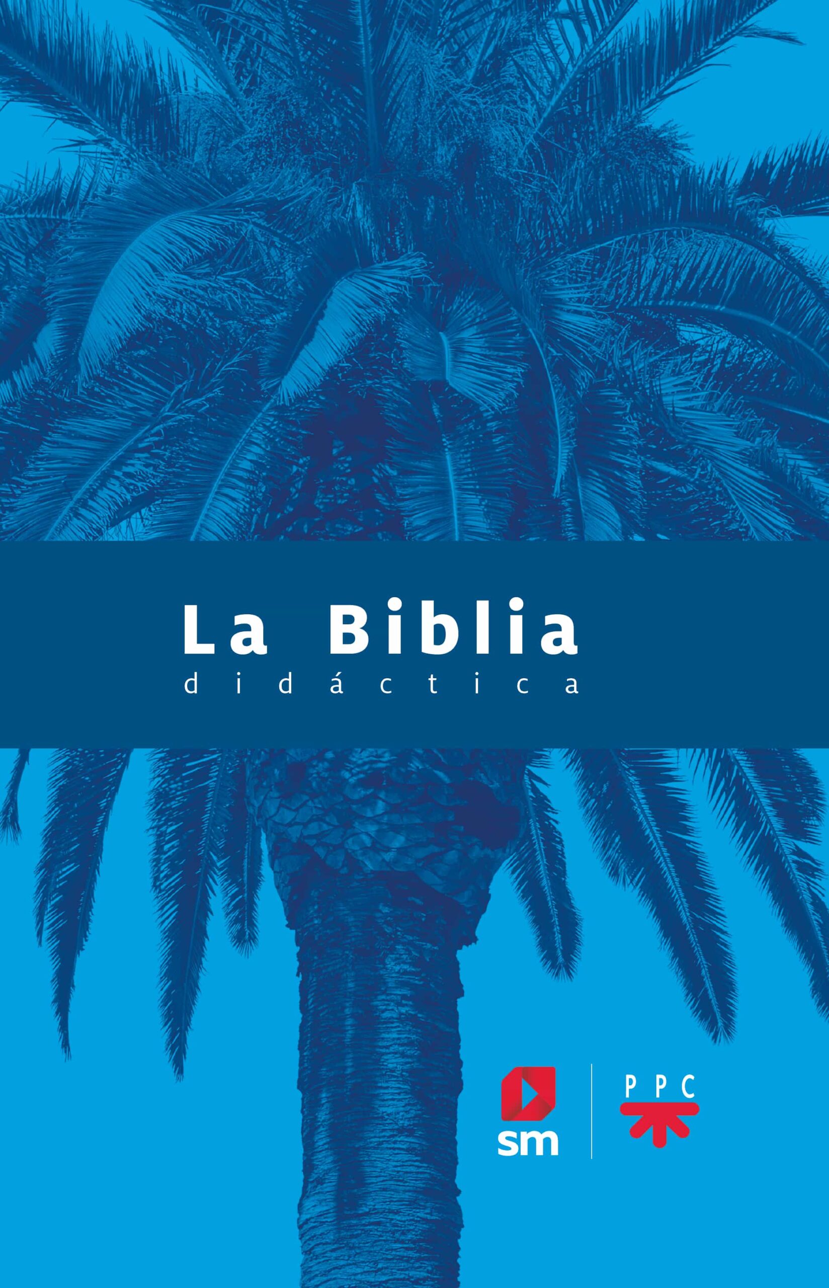 Portada del Libro La Biblia Didactica 2020 de Vv.Aa. - 9788413183039