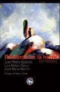Portada del Libro Palabras En La Nieve de Vv.Aa. - 9788493553104