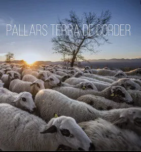 Portada del Libro Pallars Terra De Corders de Vv.Aa. - 9788412080193