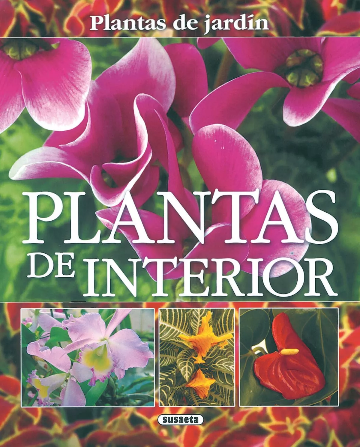 Portada del Libro Plantas De Interior de Vv.Aa. - 9788430556892