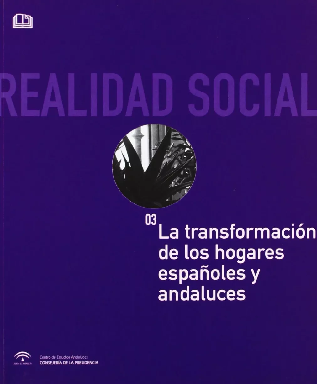 Portada del Libro Realidad Social: La Transformacion De Los Hogares Españoles Y And Aluc de Vv.Aa. - 9788461111015