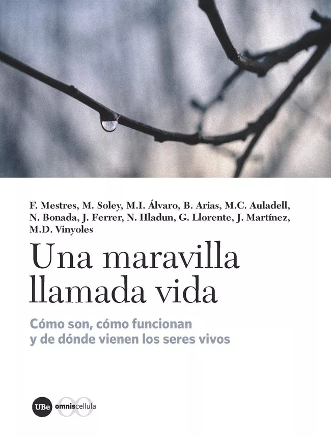 Portada del Libro Una Maravilla Llamada Vida de Vv.Aa. - 9788491680857