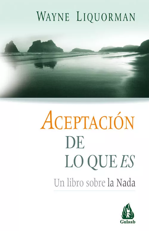 Portada del Libro Aceptacion De Lo Que Es: Un Libro Sobre La Nada (2ª Ed.) de Wayne Liquorman - 9788486797966
