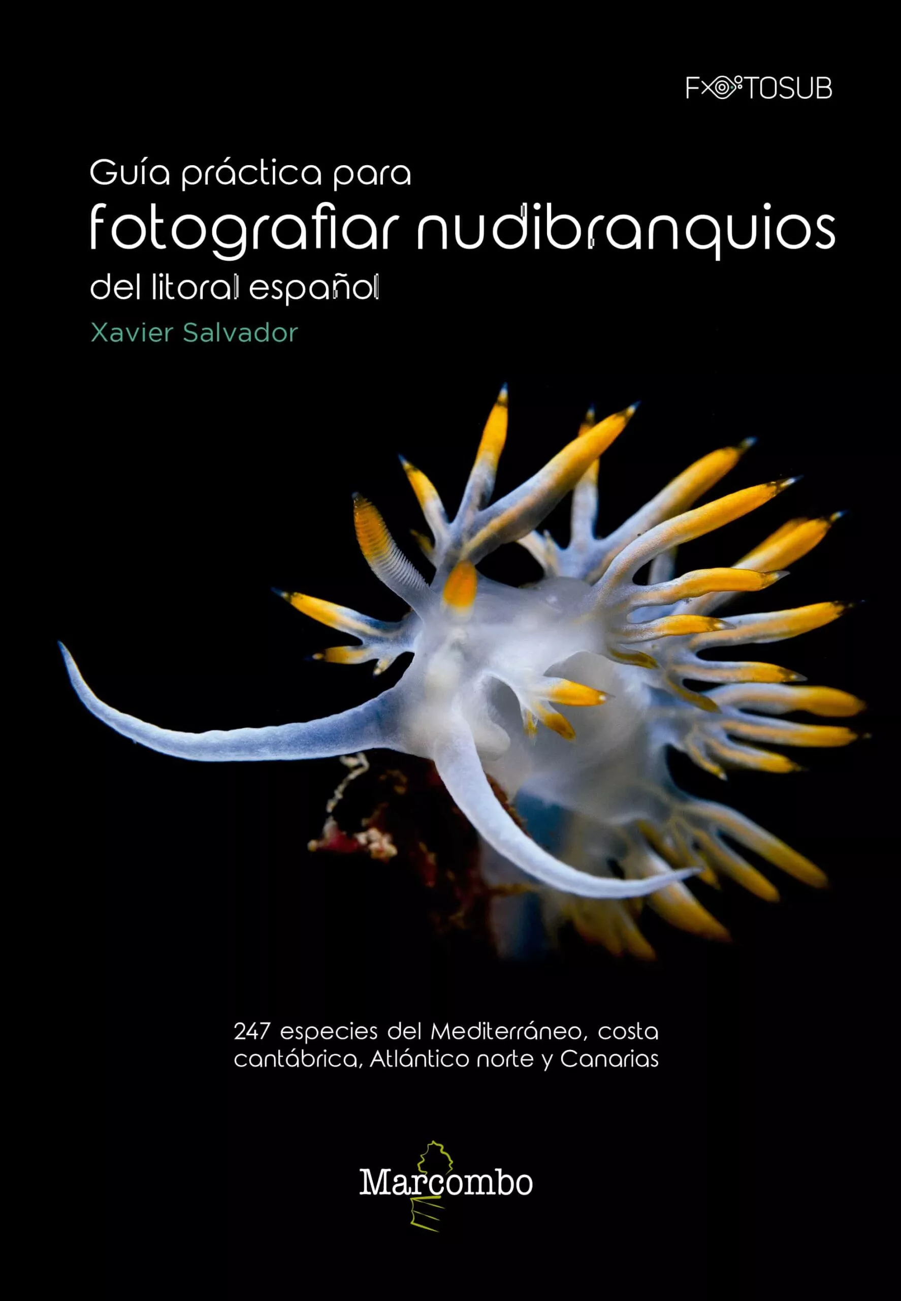 Portada del Libro Guia Practica Para Fotografiar Nudibranquios Del Litoral Español de Xavier Salvador - 9788426727565