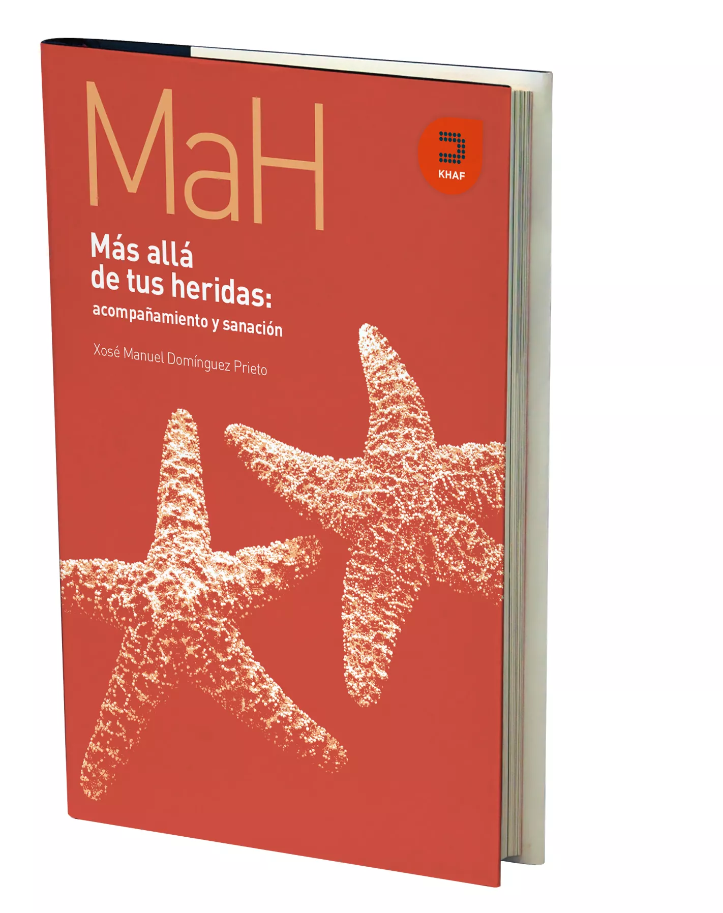 Portada del Libro Mas Alla De Tus Heridas: Acompañamiento Y Sanacion de Xose Manuel Dominguez Prieto - 9788415995333