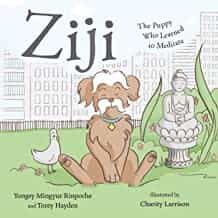 Portada del Libro Ziji: The Puppy Who Learned To Meditate de - 9781614294719
